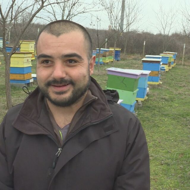 За пчелите, жилото и меда: Кой е най-проспериращият пчелар в България?
