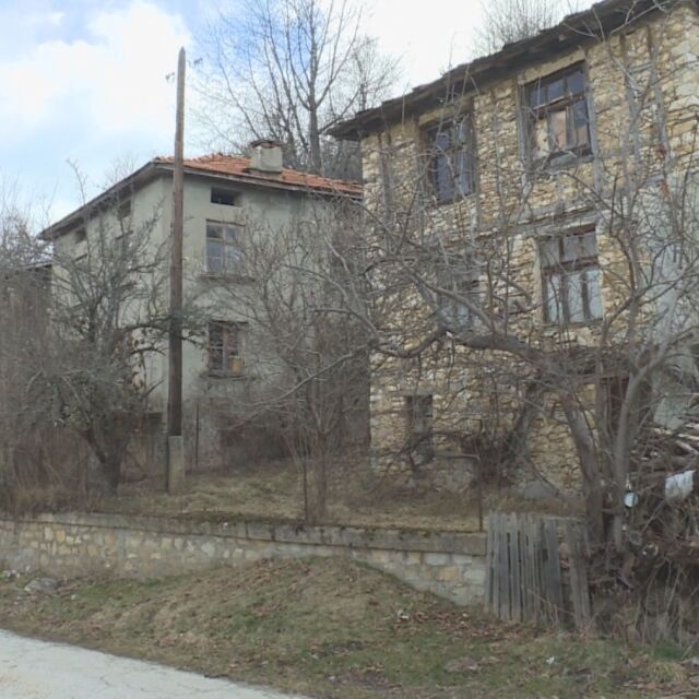  Мечка изяжда четири телета и една крава, хора се опасяват да не влезе в къщите им 