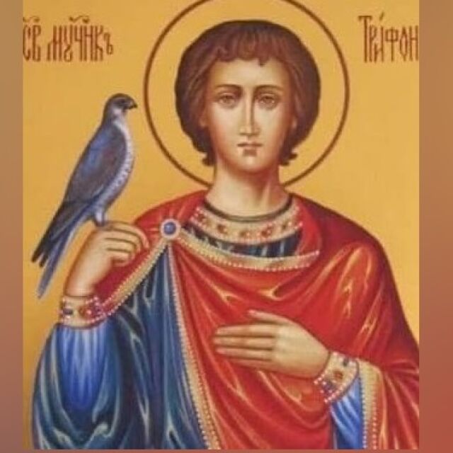  Трифоновден е (нов стил): Какви са традициите и кой има имен ден? 