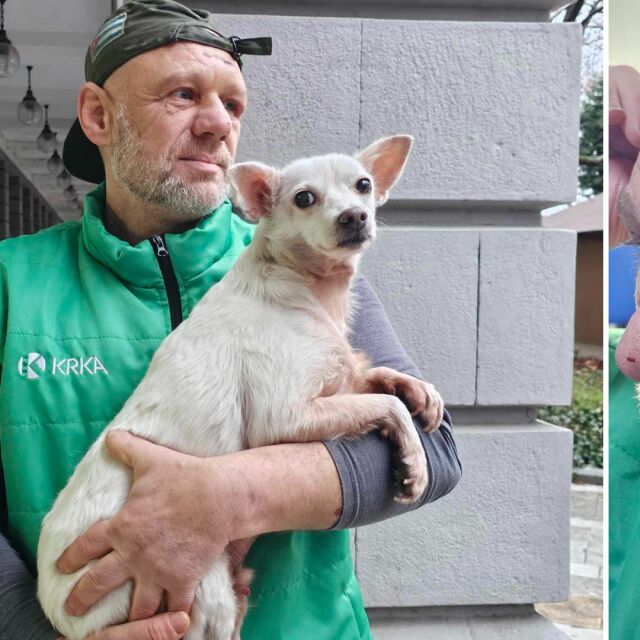  Ветеринар е пребит с железна тръба, в опит да избави кучето си (ВИДЕО, СНИМКИ) 