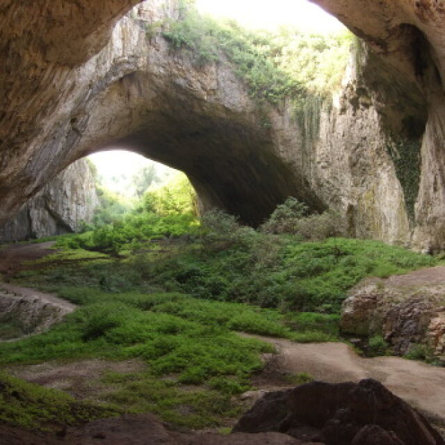 3 пъти повече прилепи в Деветашката пещера след "Непобедимите 2"
