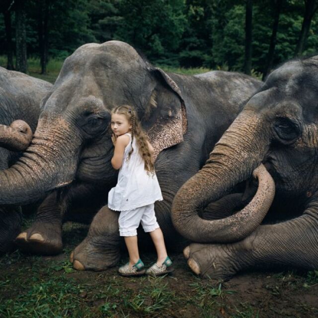 Детето, което прегръща слонове