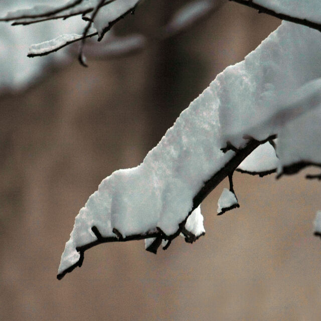 Мраз сковава страната: Температурите падат до минус 16 градуса днес 