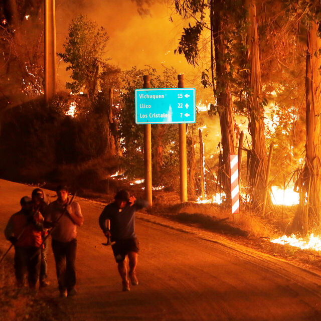Пожари обхванаха 800 хил. хектара гора в Чили (СНИМКИ и ВИДЕО)