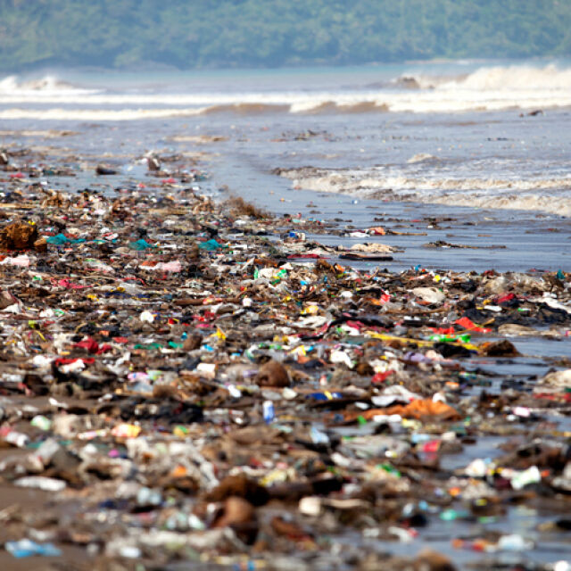 Прогноза: До 2050 г. боклуците в океана ще са повече от всичката риба в него