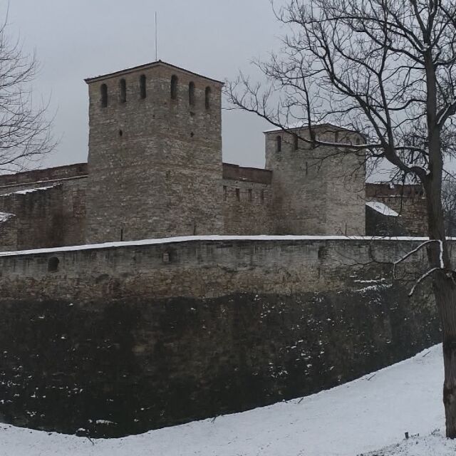 „Избери, за да помогнеш”: Крепостта „Баба Вида” се нуждае от реставрация 