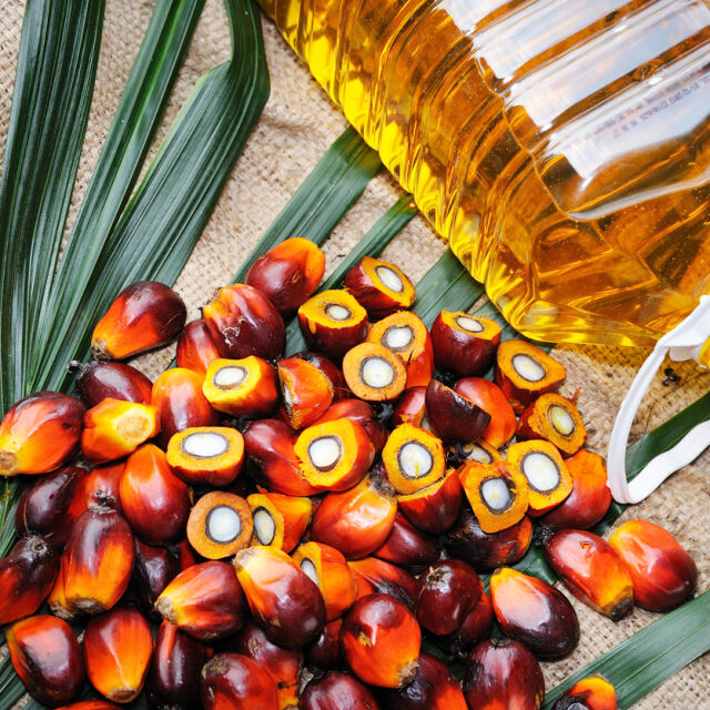 СЗО: Палмовото масло води до затлъстяване и хронични болести
