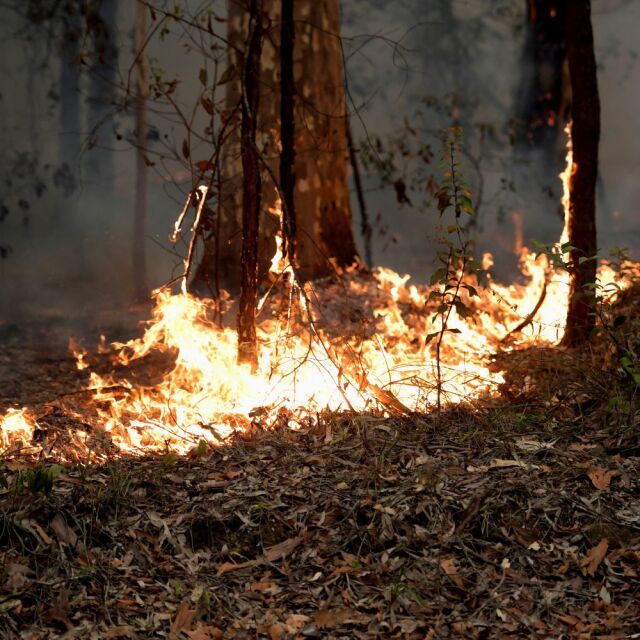 Австралия продължава да се бори срещу големите горски пожари