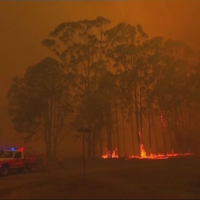 Пожарите в Австралия - напът да предизвикат политическа криза 