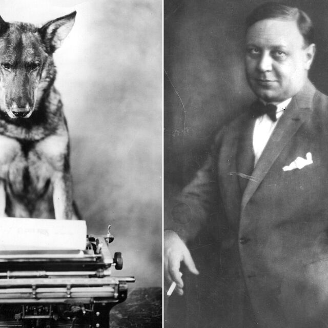 Може ли куче да получи „Оскар“ и как първият носител на наградата за най-добър актьор стана нацист