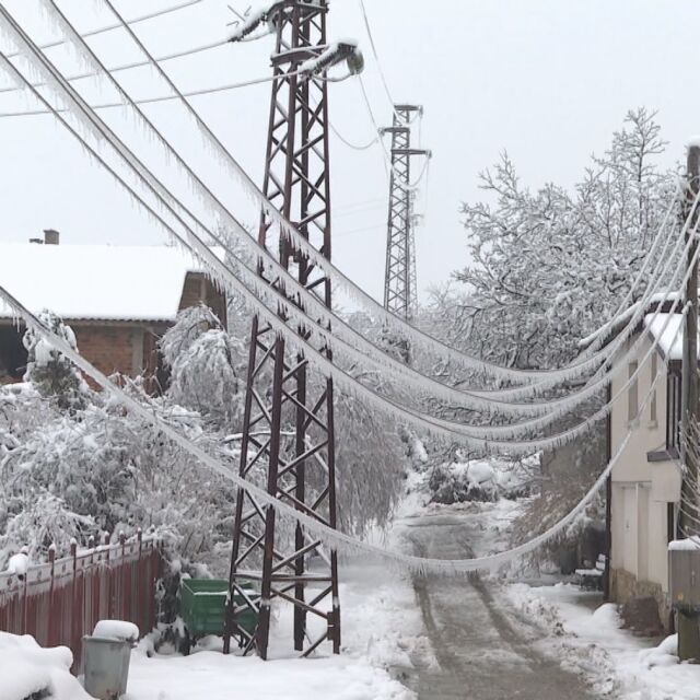 Без ток и път: Лед, сняг и паднали дървета във Врачанско и Монтанско