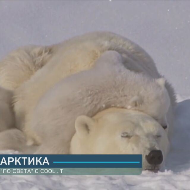 Ледената красота на Арктика (ВИДЕО)