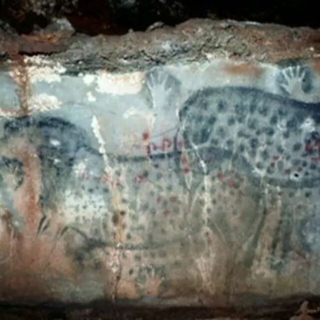Консерватор на мебели разгада мистерия на 20 000 г. и даде отговор на учените за пещерните рисунки