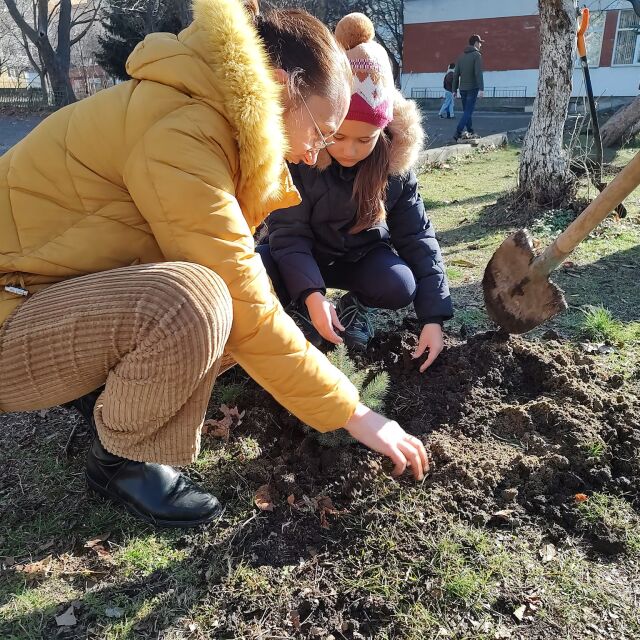 Акция „Жива елха“ в Бургас дава нов живот на коледните дръвчета (СНИМКИ)