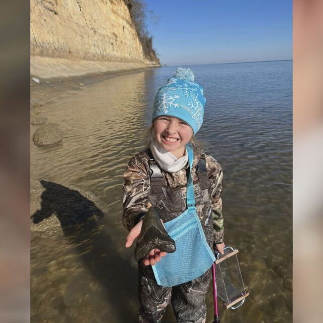 9-годишно дете намери зъб на праисторическа акула на плажа 