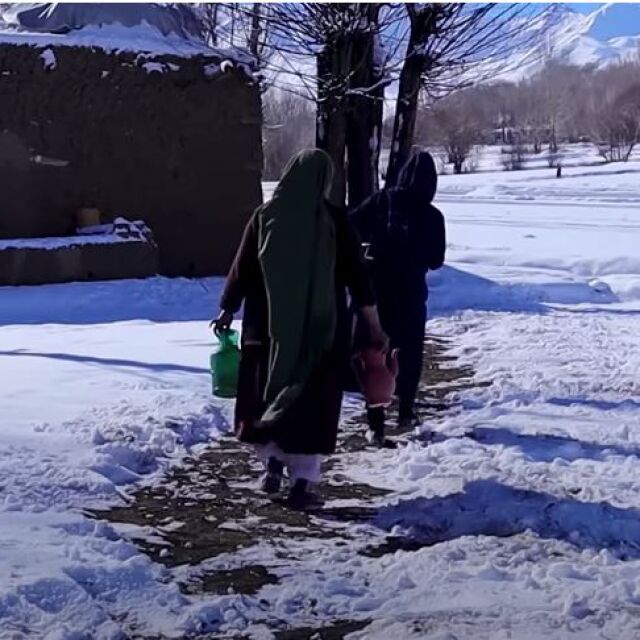 Студена вълна в Афганистан отне живота на 70 души и 70 000 животни
