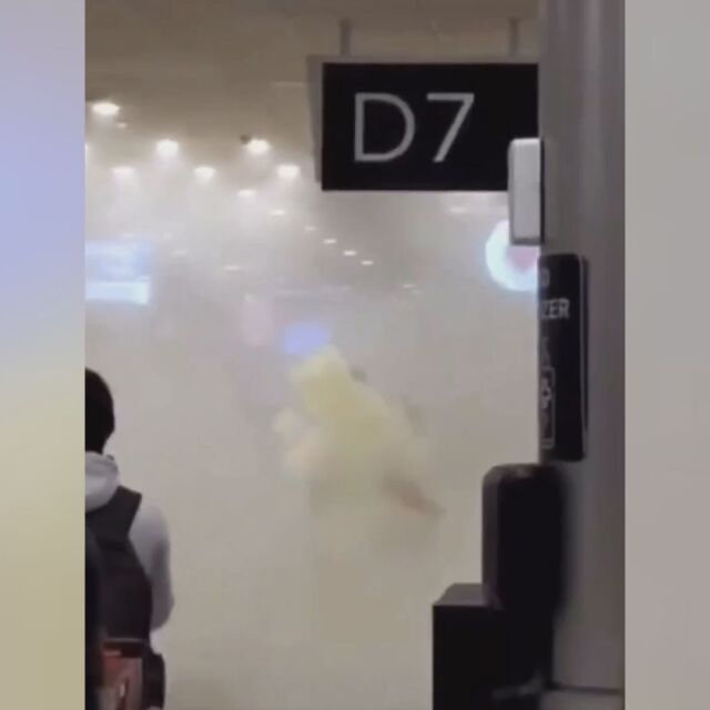 Жена напада стюардеси и полицаи с пожарогасител на летище (ВИДЕО)