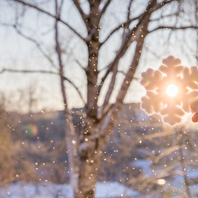  Проф. Георги Рачев: Движим се с 3 градуса над нормата за декември и тази особеност ще продължи 