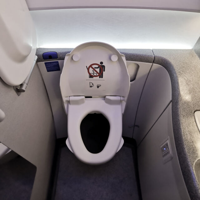 „В състояние на шок“: Пътник остана заключен в тоалетната на самолет повече от час