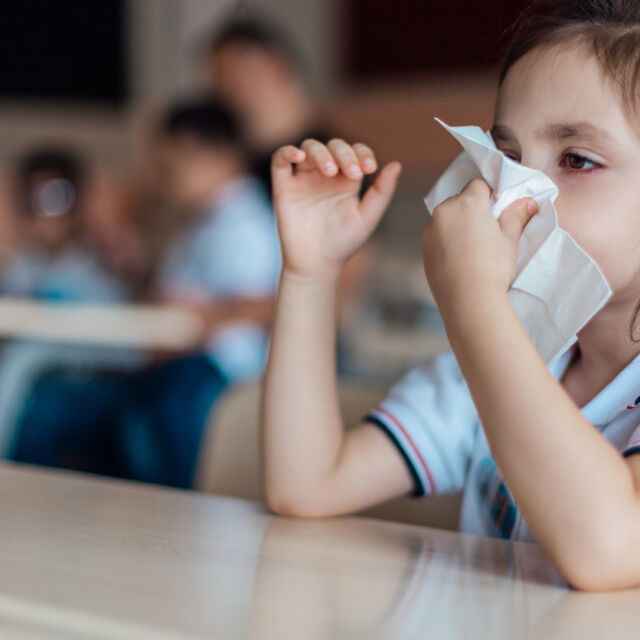 Грипна ваканция и онлайн обучение: Как училищата се борят с грипната епидемия? 