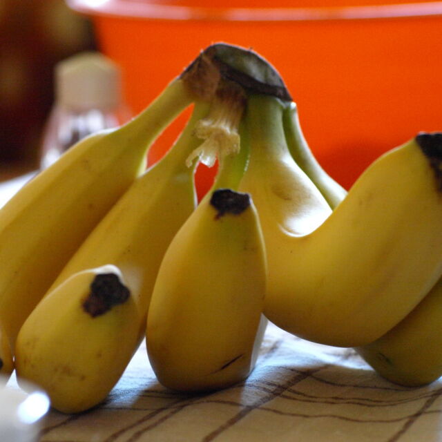 Как да разпознаваме ГМО плодовете и зеленчуците на пазара?