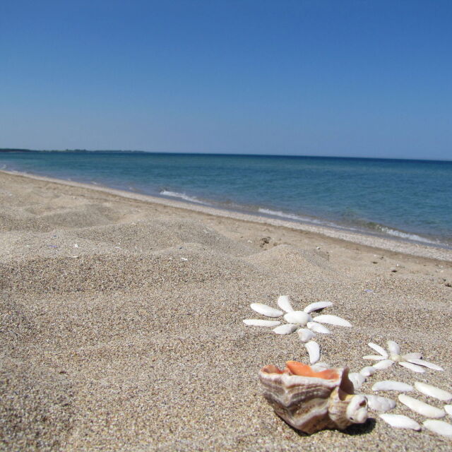 Забраниха къпането на плаж в Дубровник заради мръсна вода 
