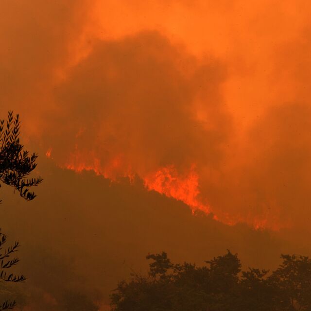 Продължава борбата с горските пожари на Балканите