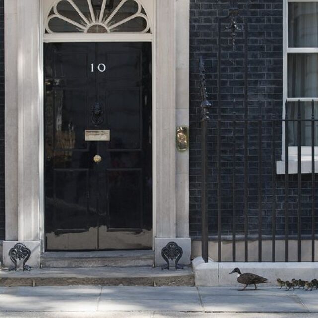 Още членове на британското правителство подават оставки