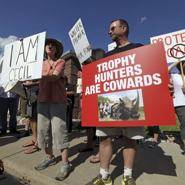 Масови протести пред кабинета на убиеца на лъва Сесил в САЩ (ВИДЕО)