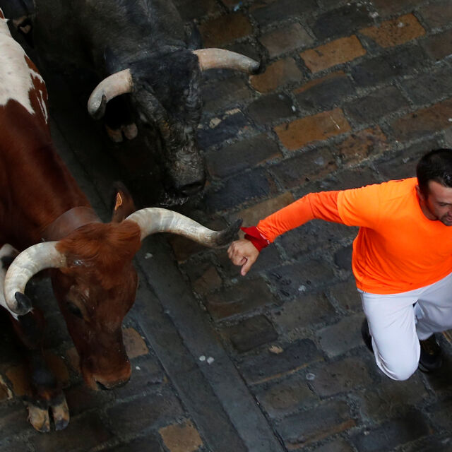 Японец и испанец бяха намушкани при гонка с бикове в Памплона (ВИДЕО)