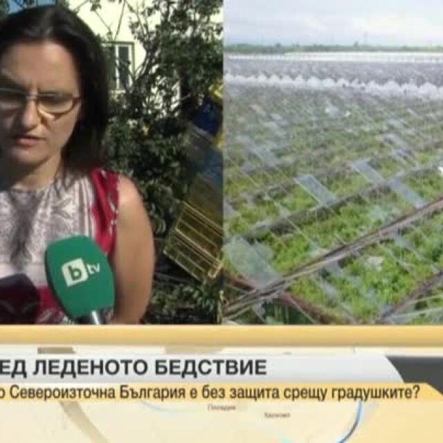 200 души остават без работа след опустошителната градушка в община Левски