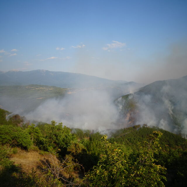 Овладяха пожара край Стара Кресна