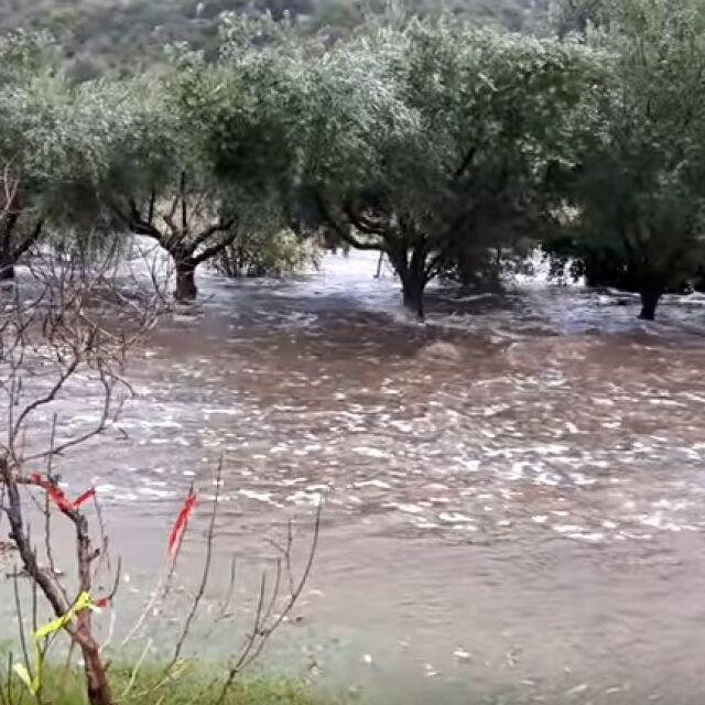 Предупредихме Гърция и Турция за риск от приливни вълни по Арда и Марица