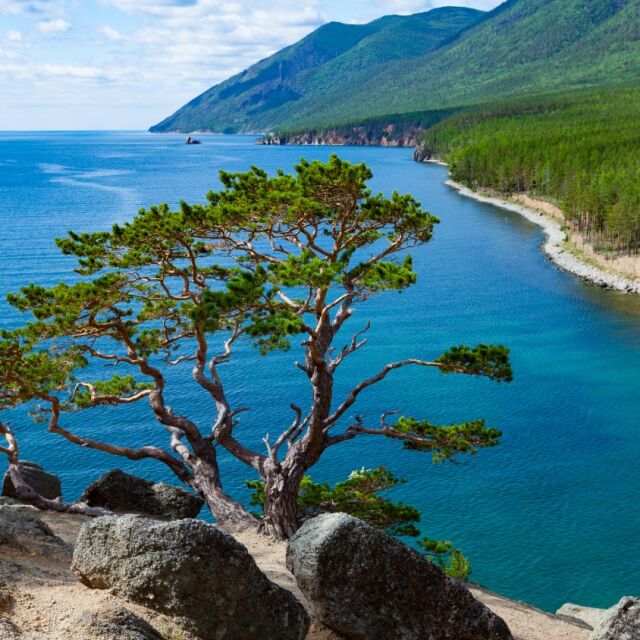 Скоро Сибир ще стане най-приятното място за живеене