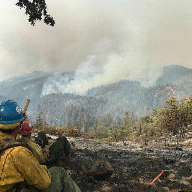 Пожари бушуват в Калифорния 