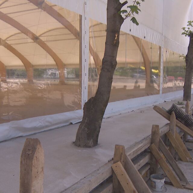 Строителен абсурд: Бетонирани дървета в столичния квартал „Младост”