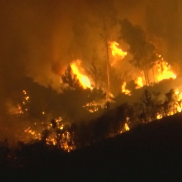Стотици огнеборци се борят с горските пожари в Португалия