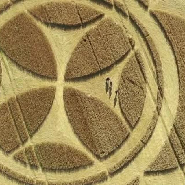 Мистериозни знаци се появиха в поле от пшеница във Франция. Авторът им е неизвестен (ВИДЕО)