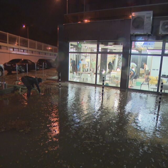 След бурята в София: Паднали дървета и наводнени улици