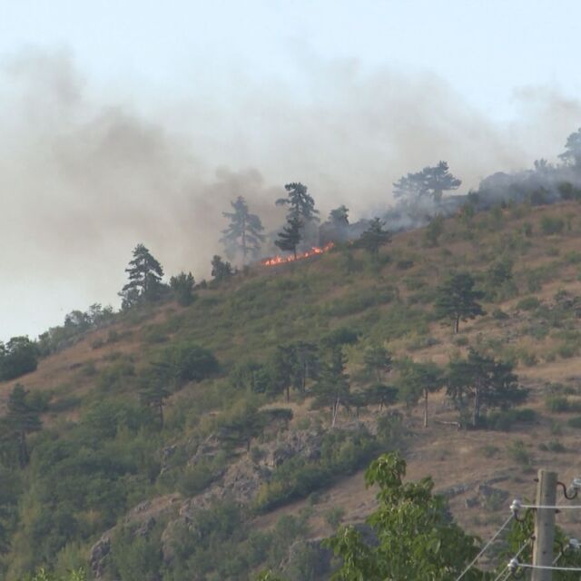 Пожарът над старозагорското село Дълбоки е овладян