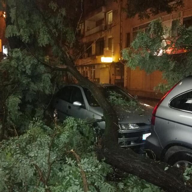 След бурята в Пловдив: Няма данни за пострадали