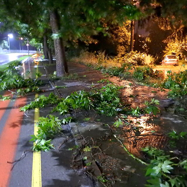 Наводнени улици и паднали дървета в Разград и други градове (ВИДЕО)
