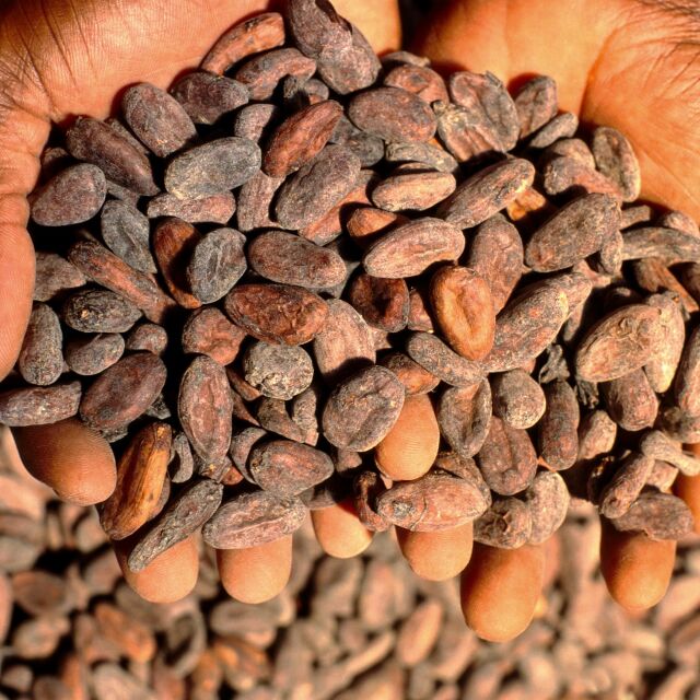 Отпадъци от какао се превръщат в ток в Африка