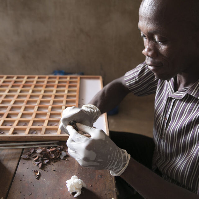 Фирми за шоколад - по-богати от страните производителки на какао