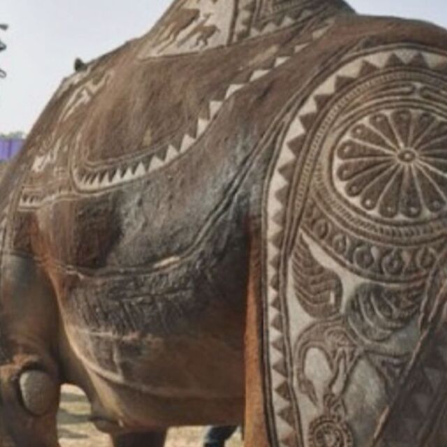 „Прически“ за камили: Мъж създава картини по животните (ВИДЕО)