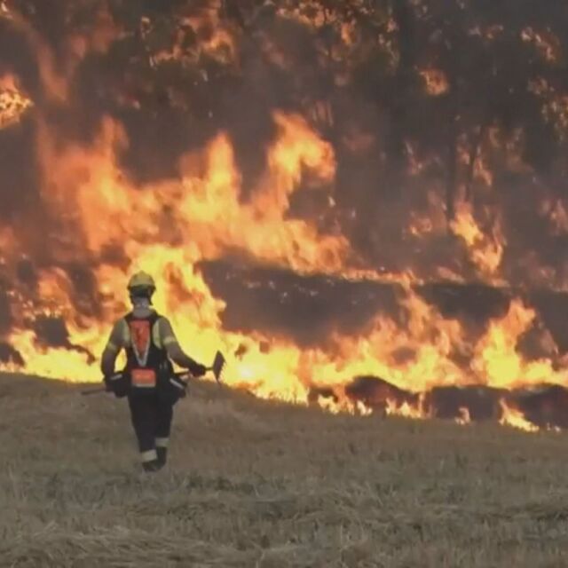 Стотици евакуирани заради горски пожари на о-в Сардиния