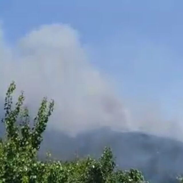 Горски пожар бушува в Стара планина над Твърдица