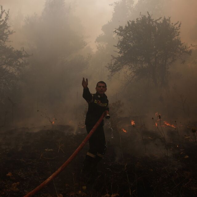Над 50 пожара в Гърция, огънят стигна до предградия на Атина (СНИМКИ И ВИДЕО)