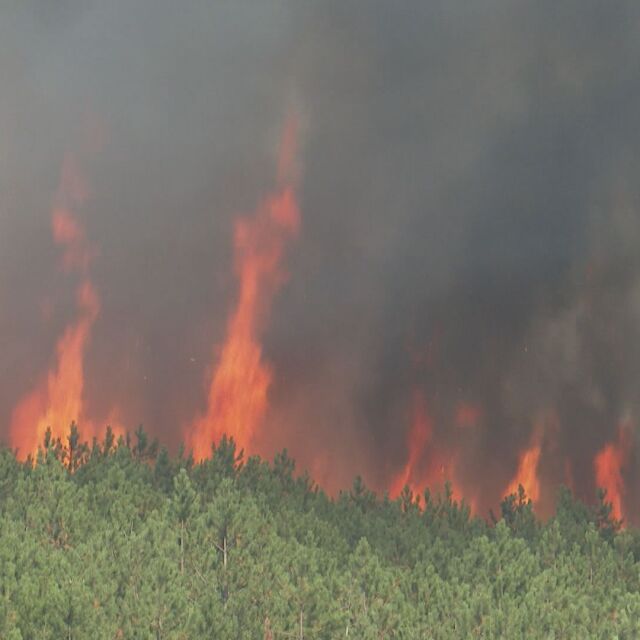 Пожарът в Пазарджишко се разгоря с нова сила