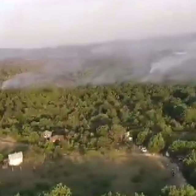 Голям пожар гори в Калояновско (ВИДЕО)